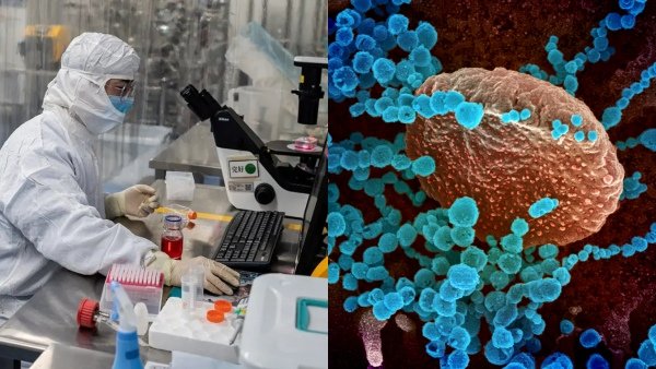 Expert Predicts 'Disease X' 20 Times Deadlier Than COVID-19