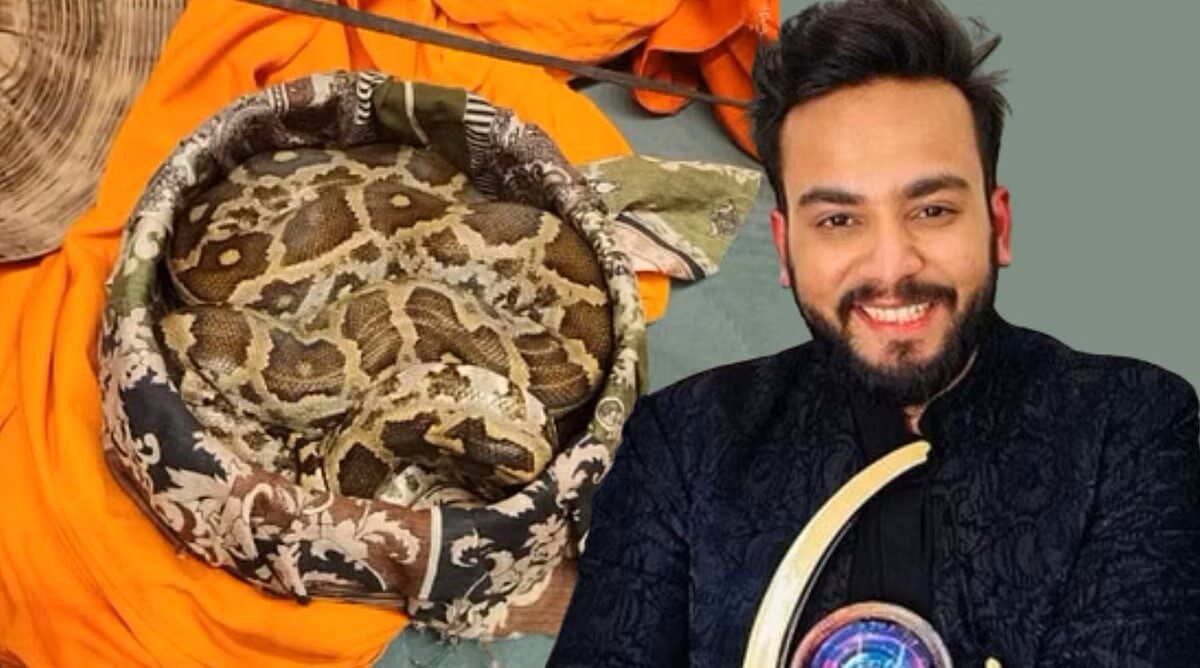 Elvish Yadav Released After Brief Detention for Illegal Venom Trade
