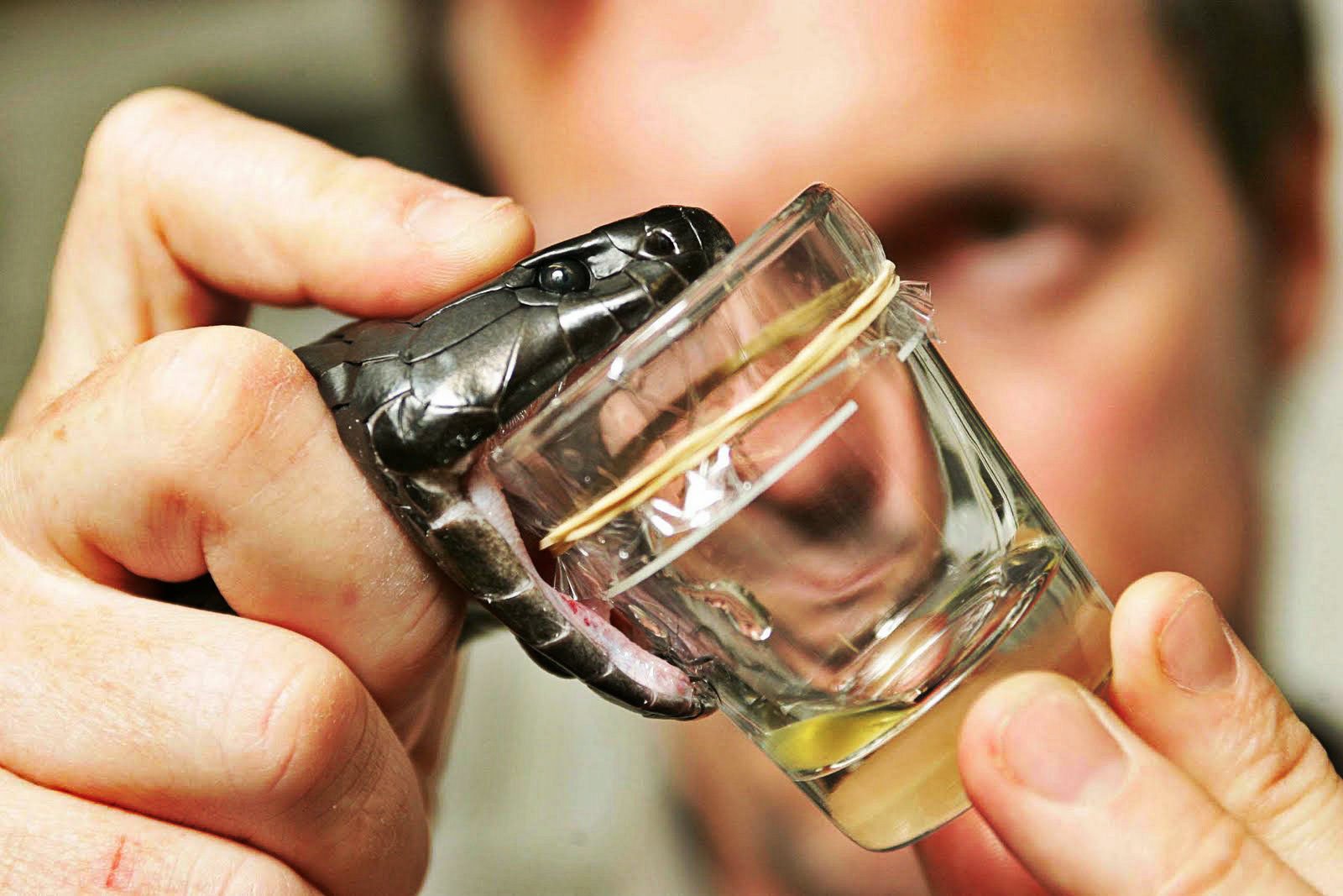 Elvish Yadav Illegal Venom Trade Case