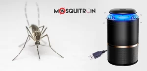 Mosquitron Review: Key Features and Other Details
