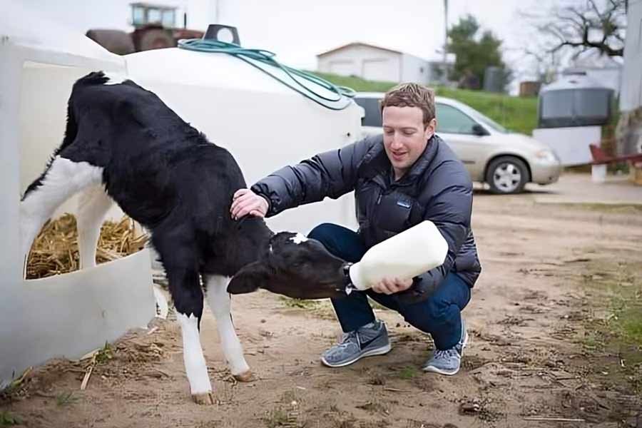 Mark Zuckerberg Aims for Top-Quality Beef; Sparks Criticism