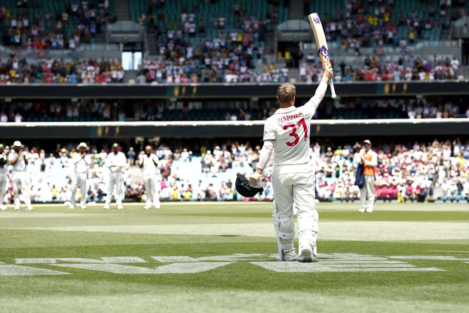 David Warner Retirement: 5th Highest Australian Test Run-Scorer and WTC Champion