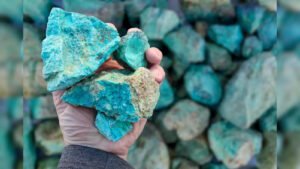  First Exploration Licence Auctions