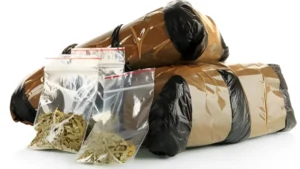 Delhi Police Bust Interstate Drug Syndicates, Seize Narcotics Worth Rs 2.25 Crore