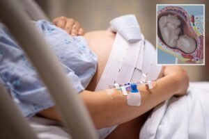 Chinese Scientists Develop Revolutionary Robot That Could Give Birth to Human Baby