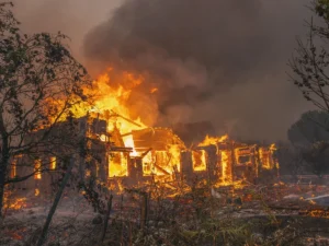 Wildfires burn across France and Spain amid heatwaves